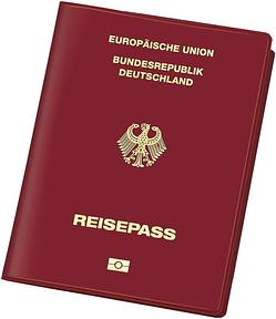 VELOFLEX - Reisepasshülle Document Safe 100 x 135 mm, Weinrot | RFID/NFC-Schutz, aus PVC und Spezialfolie, passend für ePass mit RFID-Funkchip, schützt persönliche Daten